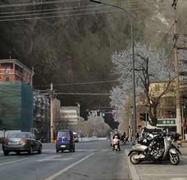 疯和尚——释真明主播照片