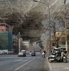 疯和尚——释真明主播照片