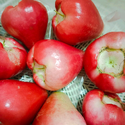 Rain月小牙呀