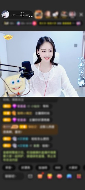 感谢睡在主播怀里的小萌兽赠送天空游乐园1个