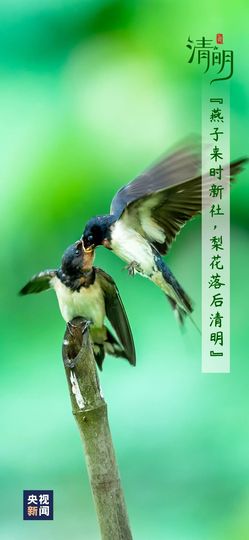 超持久“桑拿天”来了主播照片