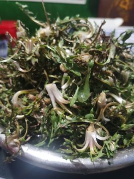 聆听~爱唱歌的图片