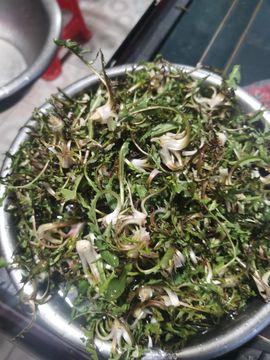 聆听~爱唱歌的图片