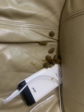 一三不整的图片
