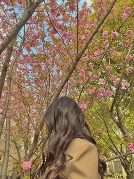雪菜♫好运好运旺主播照片