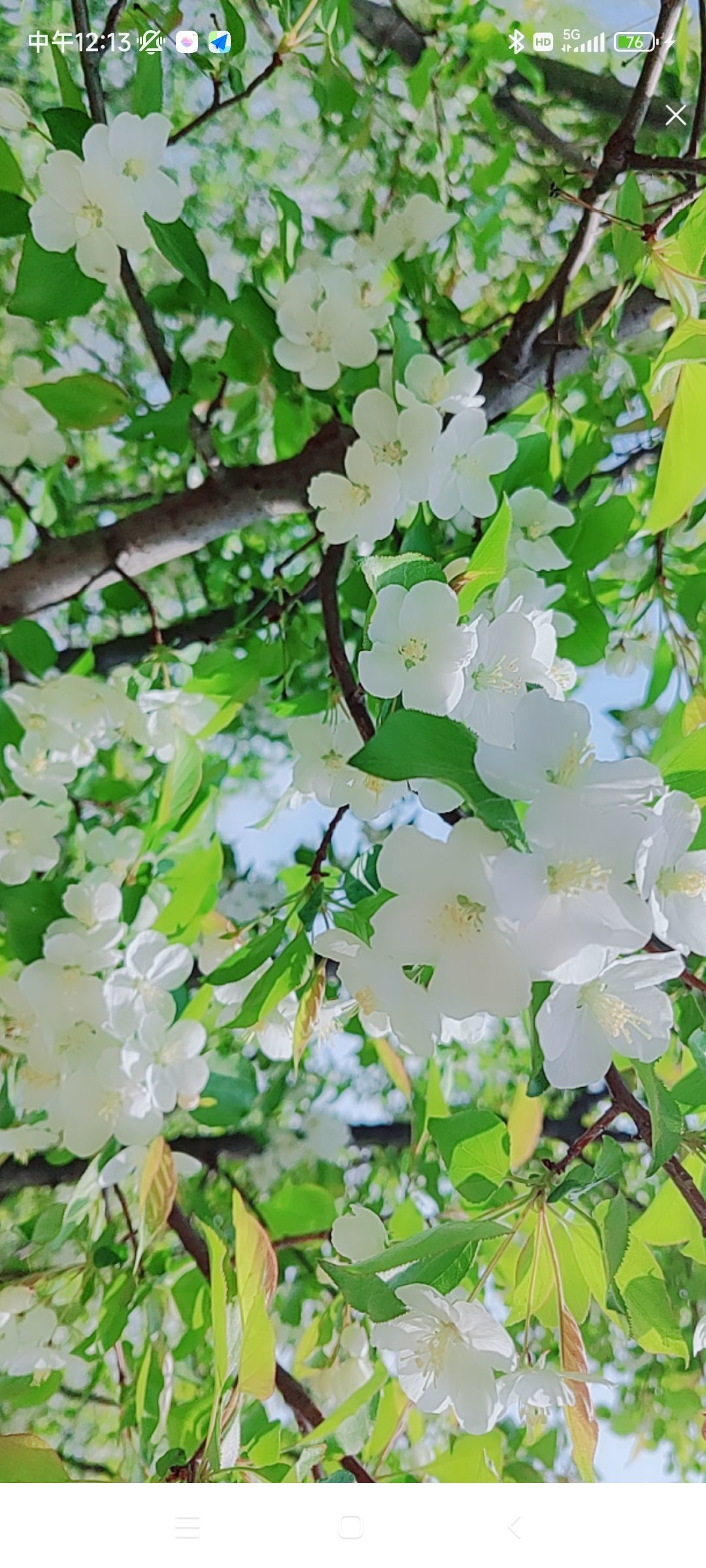 婷婷💕感恩有你陪伴的图片