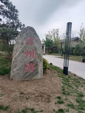 爱在晚秋🐲（关关）的图片