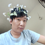来自纽约的雪豹☻