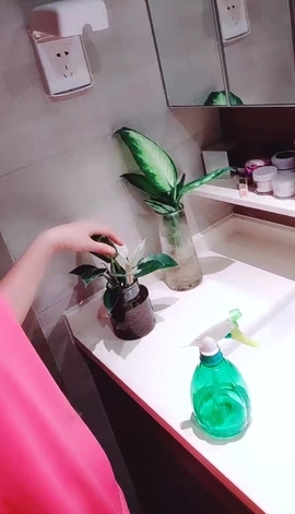 甜蜜未来乐在心怀主播照片