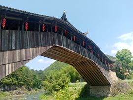 （顺势）的图片