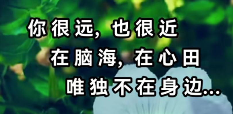 丑小鸭💞愿有一束光的图片