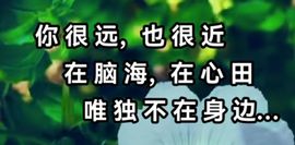 丑小鸭🍑努力加油播主播照片