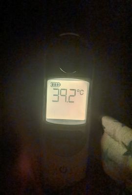 苏静好周六明晚七点半主播照片