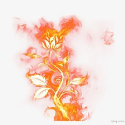 🔥火焰花🔥