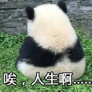 瞎逛的二狗子
