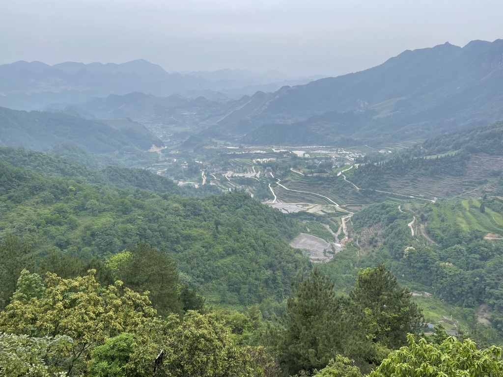 享，释，遇的图片