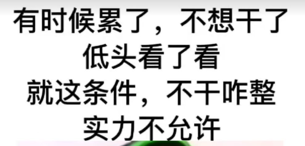 丑小鸭💞愿有一束光的图片