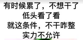 丑小鸭🍑努力加油播主播照片