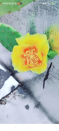 婷婷💕求升级的图片