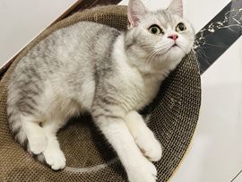 吴小优主播照片