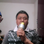 来自爱丁堡的白鳍豚