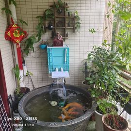 戰神大元帥黎歌主播照片