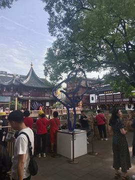 動之以情（小浪浪）的图片