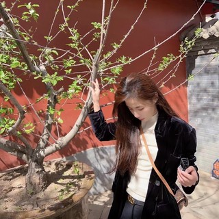 杉菜💖视频聊天