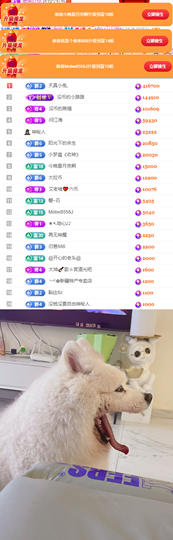 陈慧慧🥕早9晚8的图片