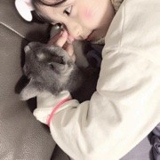 困的嫑嫑的的頭像