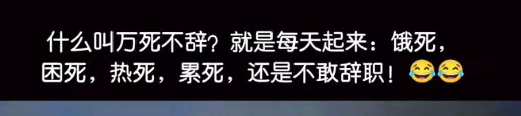 丑小鸭💞愿有一束光的图片