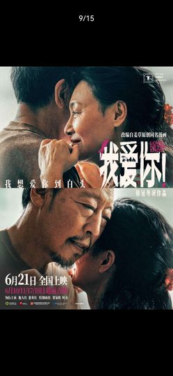 一只梨花压海棠🍃主播照片