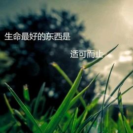 游客nj主播照片