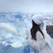 一世一佳人海报
