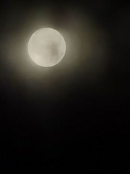聆听~爱唱歌主播照片