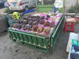 小雅代理ღ招财吖主播照片