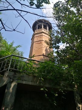 陌上╰.╯花开ღ主播照片