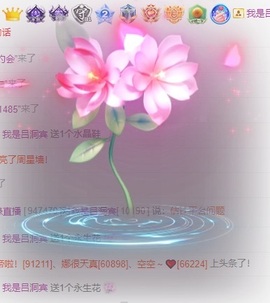 初见💋梦主播照片
