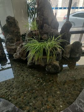 真心遇水性杨花主播照片