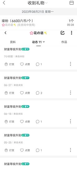 风铃在飞🍀守望幸福主播照片