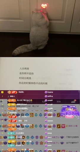 谁的糖。主播照片