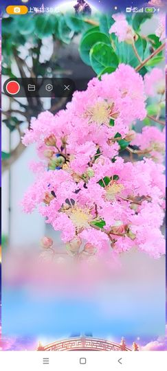 婷婷💕求升级的图片