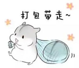小灵鹤祝猛男荣升神帝主播照片