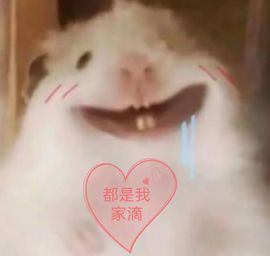 小灵鹤祝猛男荣升神帝主播照片