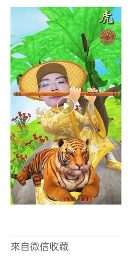 ⊱双鱼座小印⊱的图片
