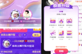 一只小绮梦🍟旺旺旺主播照片