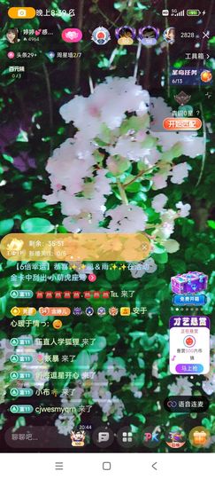 婷婷💕求升级的图片