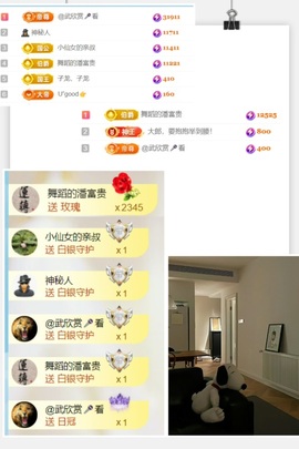 洛洛🌊的图片
