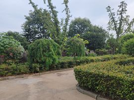 ，，事，，主播照片