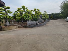 ，，事，，主播照片